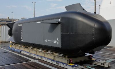 Opinion: Ghost Shark causes ripples