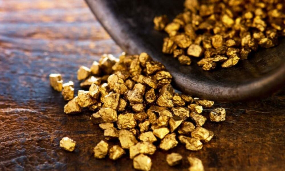 Perseus unlikely to revise Predictive bid