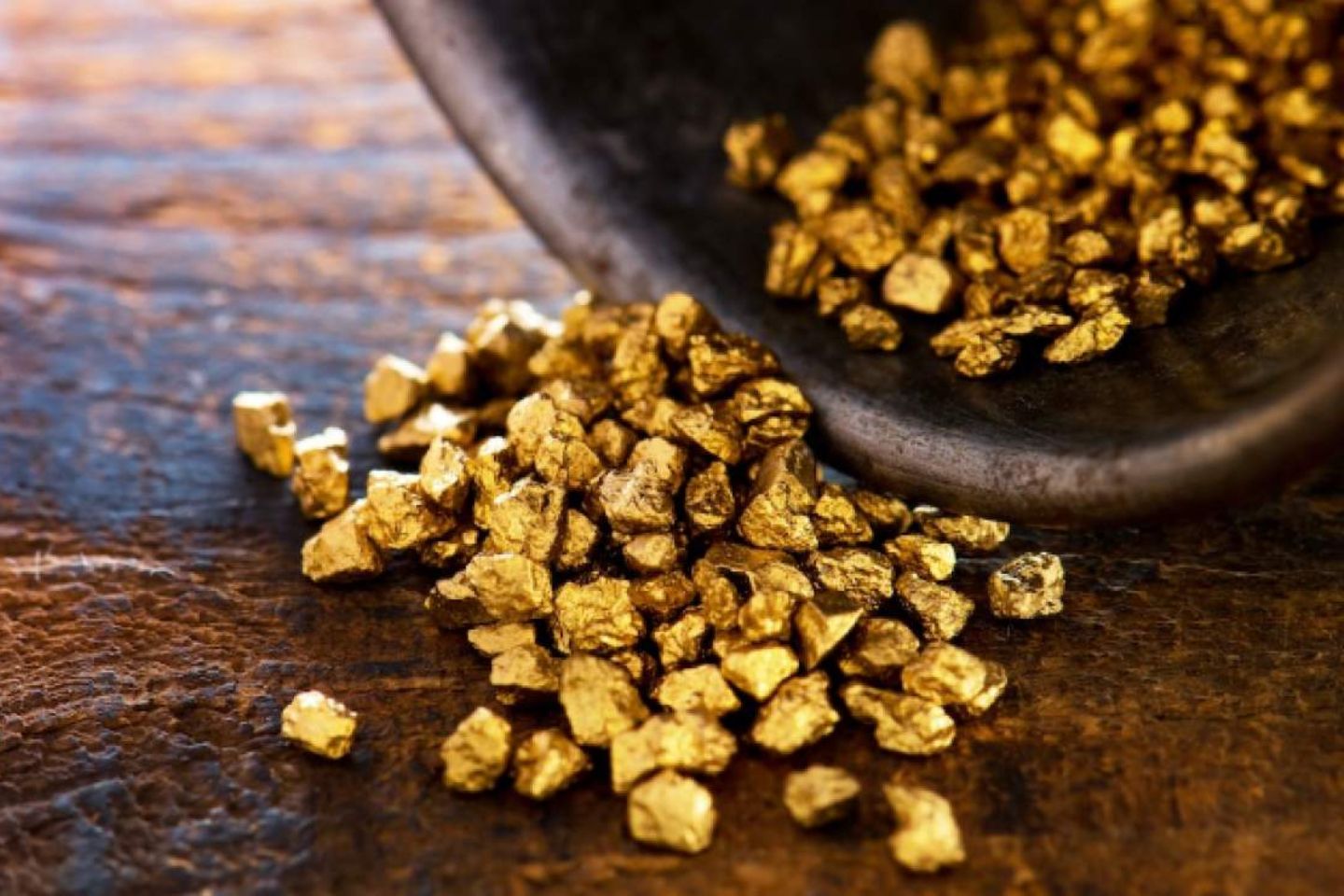 Perseus unlikely to revise Predictive bid