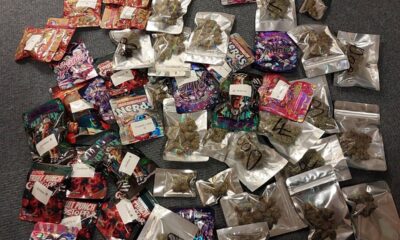 Hidden stash of cash discovered inside sound speaker and cannabis found on driver after police "suspicions"