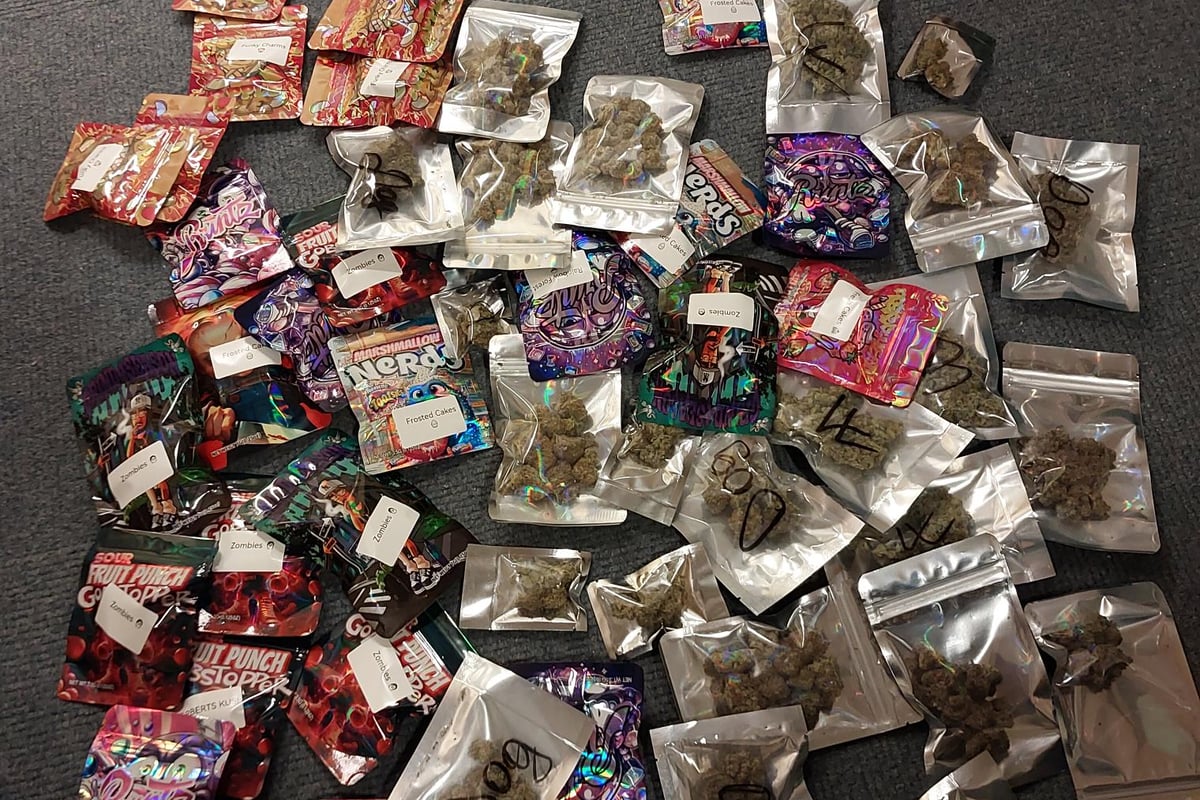 Hidden stash of cash discovered inside sound speaker and cannabis found on driver after police "suspicions"