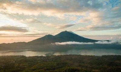 Indonesia’s Special Economic Zones: A Game-Changer for Foreign Investors