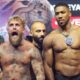 Jake Paul chances against Anthony Joshua boosted by rare rule change