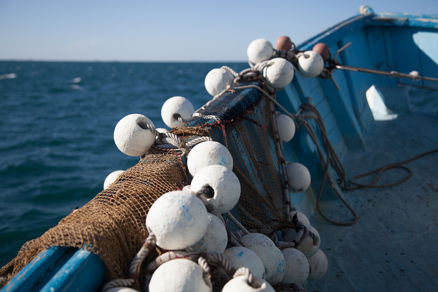 Fishing industry ‘shell-shocked’ by demersal species ban