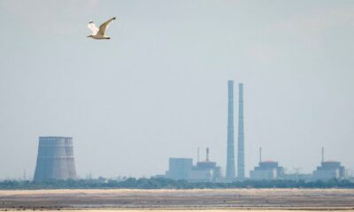 Ukraine’s Zaporizhzhia nuclear plant temporarily lost power overnight, IAEA says