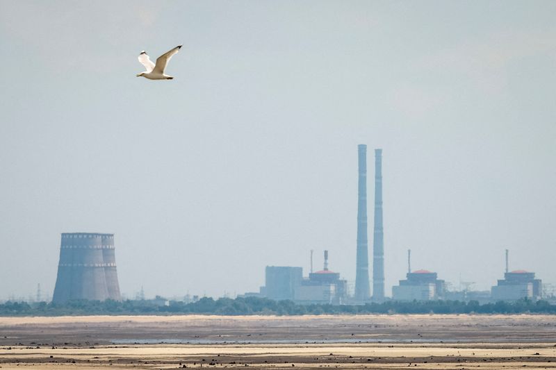 Ukraine’s Zaporizhzhia nuclear plant temporarily lost power overnight, IAEA says