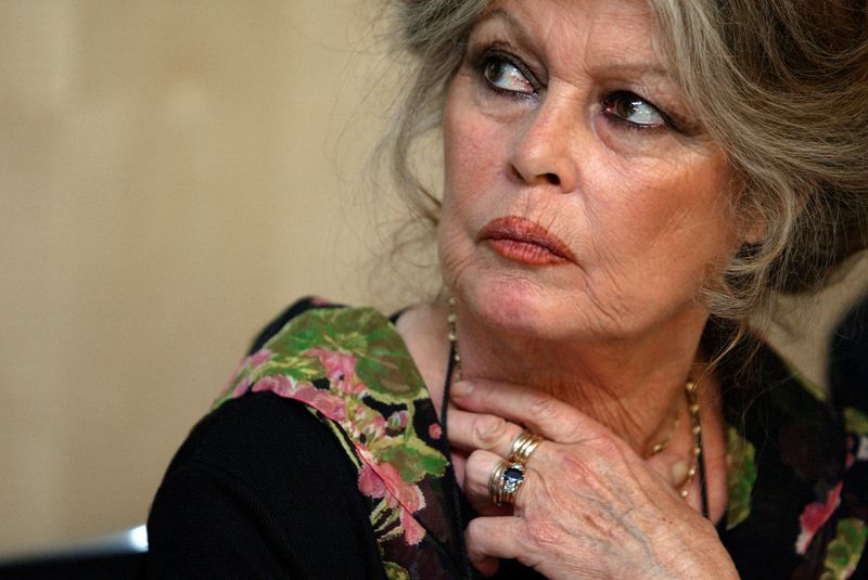 Brigitte Bardot, icon of French cinema, dies at 91