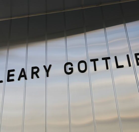 Law firm Cleary Gottlieb hires Alsheimer for activism practice