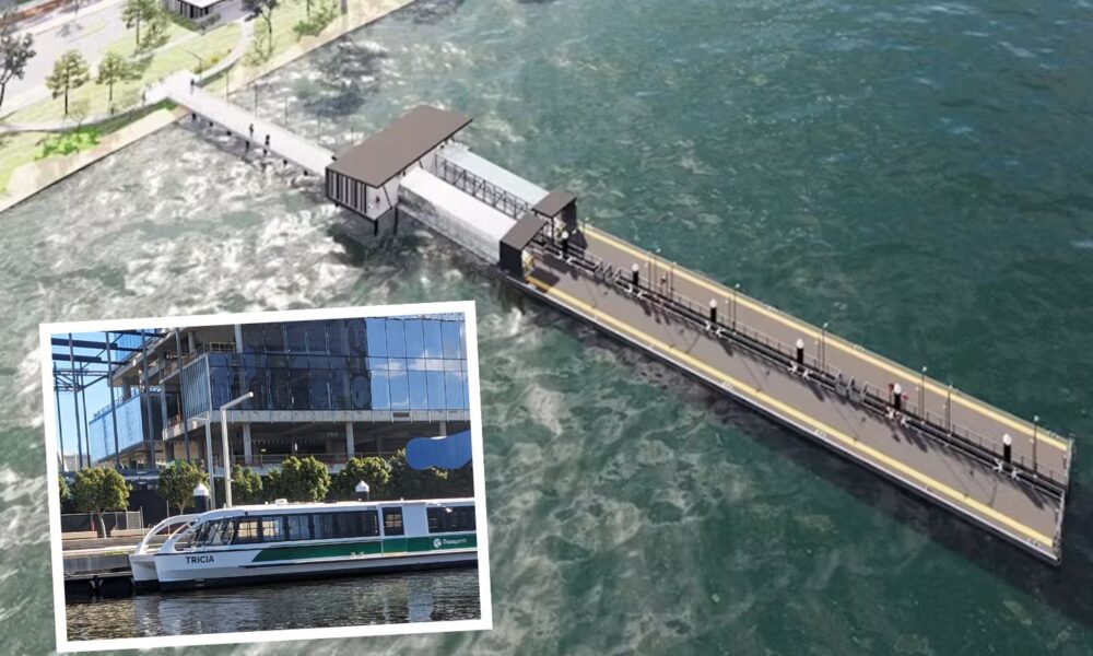 Ferry plan meeting halts amid disarray