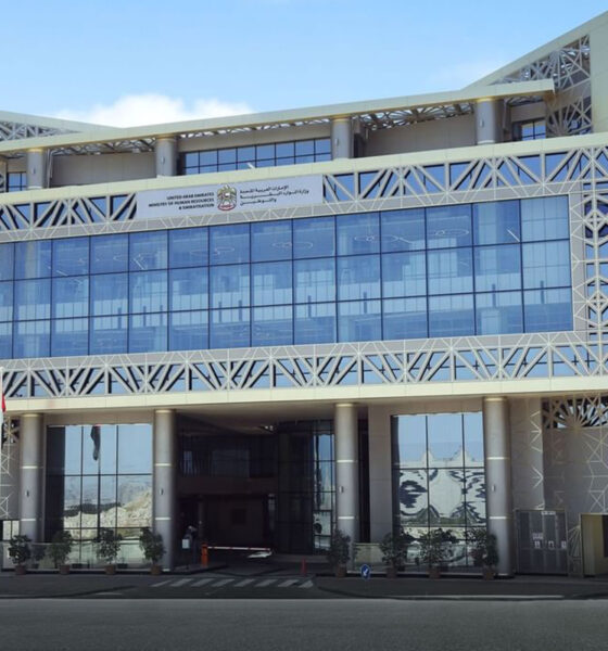 UAE Private Sector Emiratisation Hits Milestone