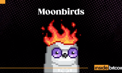 Moonbirds Jumps +400% In Daily NFT Sales After SBT Launch