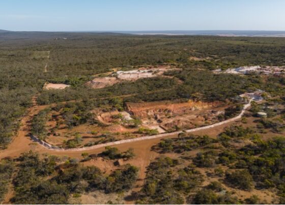 Medallion to raise up to $60m