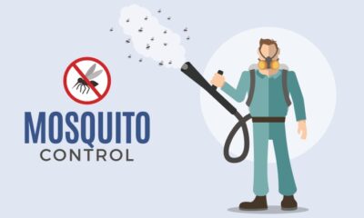 Profit with Purpose: Explore the Benefits of a Mosquito Control Franchise