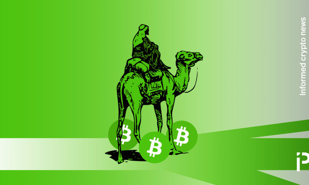 Who moved $3M in Silk Road BTC? Dormant addresses spring back to life