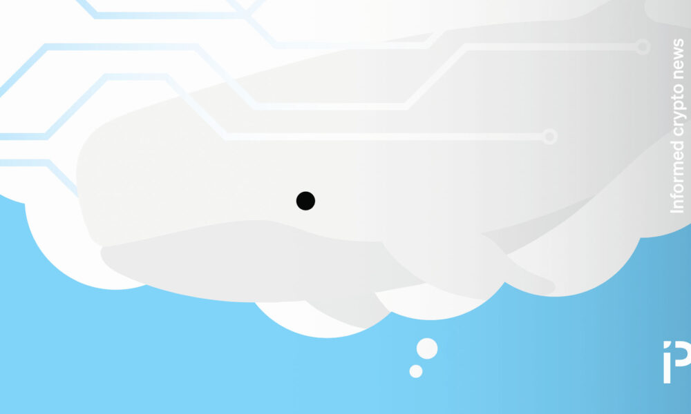 the $63M White Whale of a tale