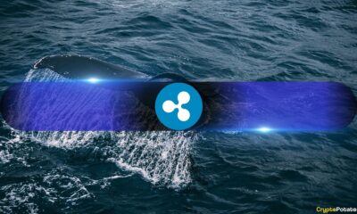 Ripple (XRP) Whales Step Up as Taker Demand Flips Bullish