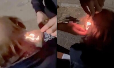 Horrendous video shows Spanish youths setting homeless man's hair on fire | News World