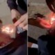 Horrendous video shows Spanish youths setting homeless man's hair on fire | News World
