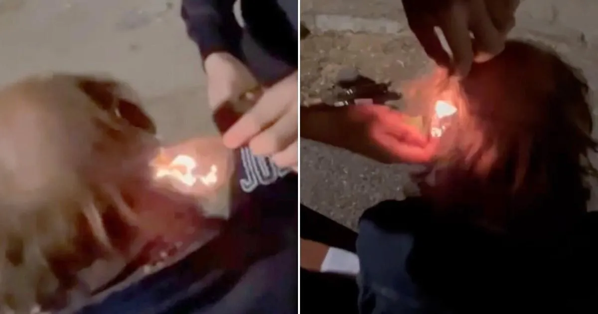 Horrendous video shows Spanish youths setting homeless man's hair on fire | News World