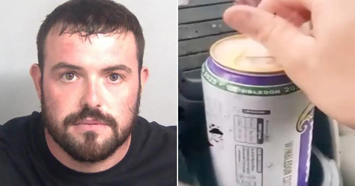 Driver cracks open a Stella before wrapping van around tree | News UK