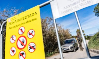 African swine fever outbreak suspected to have originated from lab leak | News World