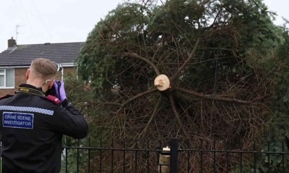 Christmas tree cut down 'deliberately' just hours after light switch-on | News UK