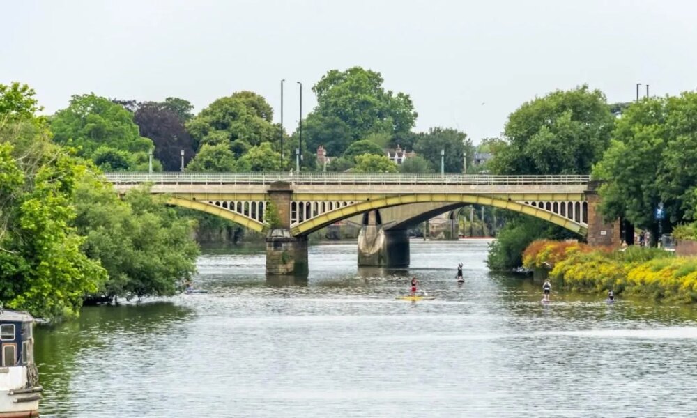 Drunk man who threw kittens off London bridge pleads guilty | News UK