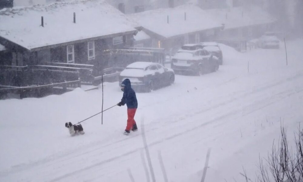 Three killed as Storm Johannes cuts power to thousands | News World