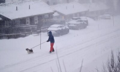 Three killed as Storm Johannes cuts power to thousands | News World