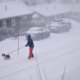 Three killed as Storm Johannes cuts power to thousands | News World
