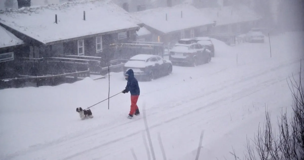 Three killed as Storm Johannes cuts power to thousands | News World