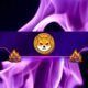 Here's How Many Shiba Inu (SHIB) Tokens Were Burned in November