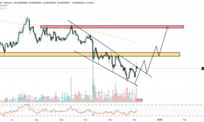 shiba inu price chart