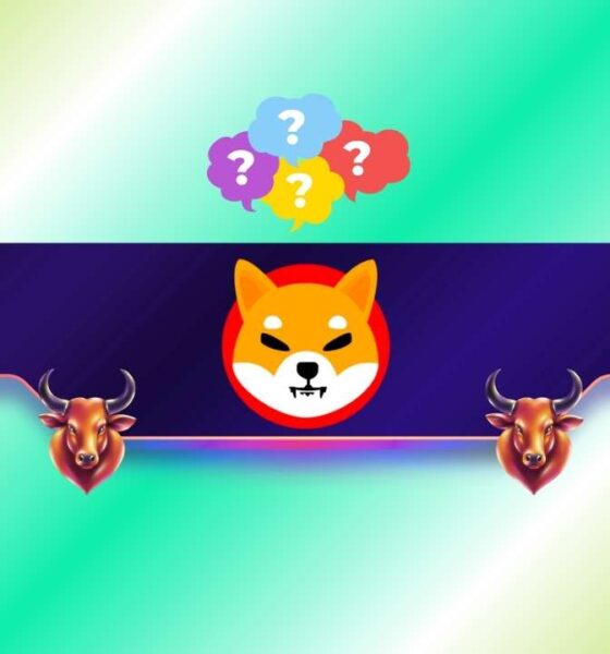 SHIB Comeback on the Way?