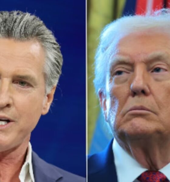 Newsom trolls ‘Dozy Don’ after Trump posts photo of dead falcon and claims windmills are killing ‘our beautiful Bald Eagles’