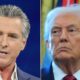 Newsom trolls ‘Dozy Don’ after Trump posts photo of dead falcon and claims windmills are killing ‘our beautiful Bald Eagles’