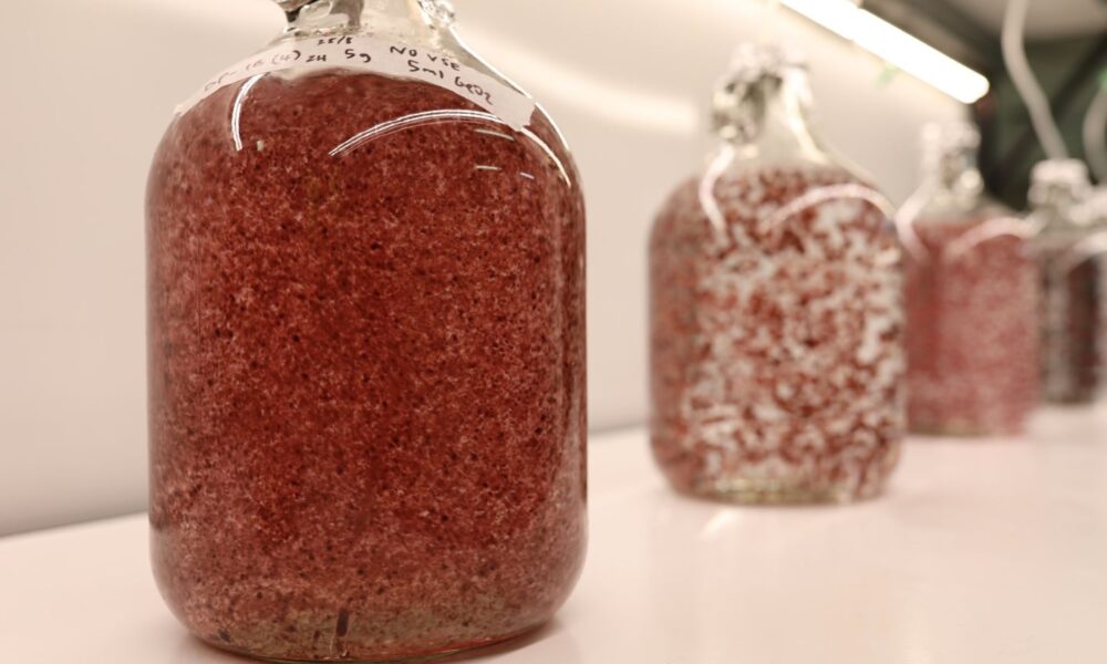 Opinion: Heading to ’26 with confidence