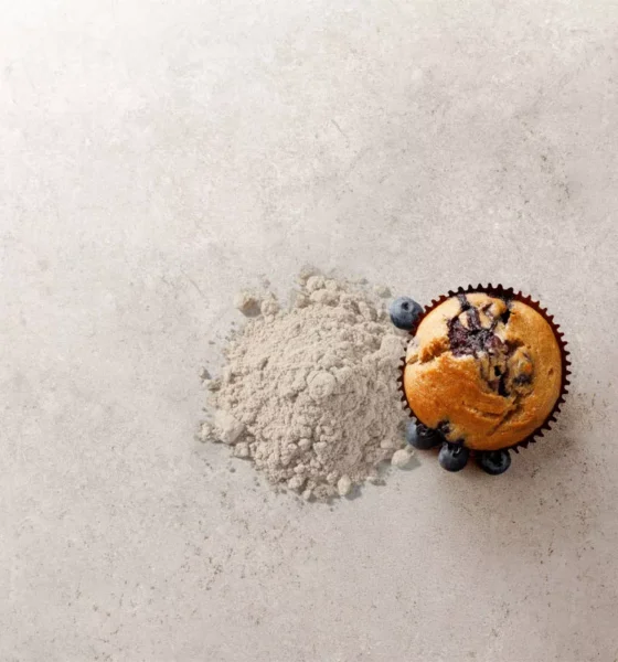 Replace eggs with new pea protein ingredient