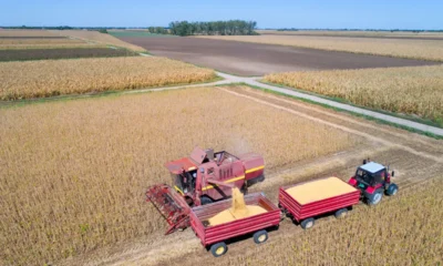 US soybean sales to China may fall short of deal