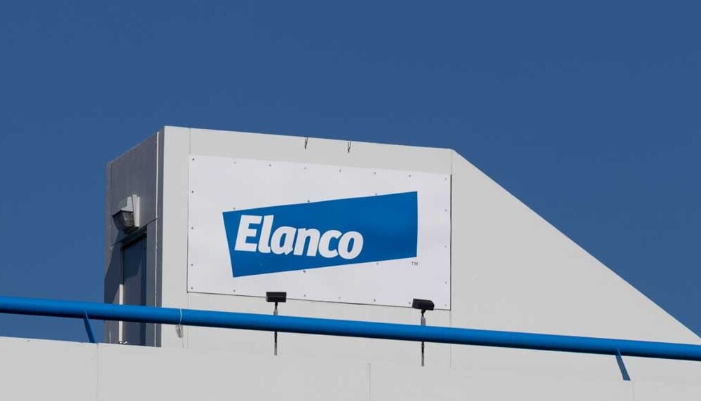 Elanco Stock: How Elanco Animal Health Is Outgrowing Rivals As Protein, Pet Health Roars Back