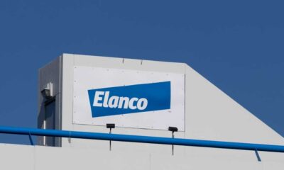 Elanco Stock: How Elanco Animal Health Is Outgrowing Rivals As Protein, Pet Health Roars Back