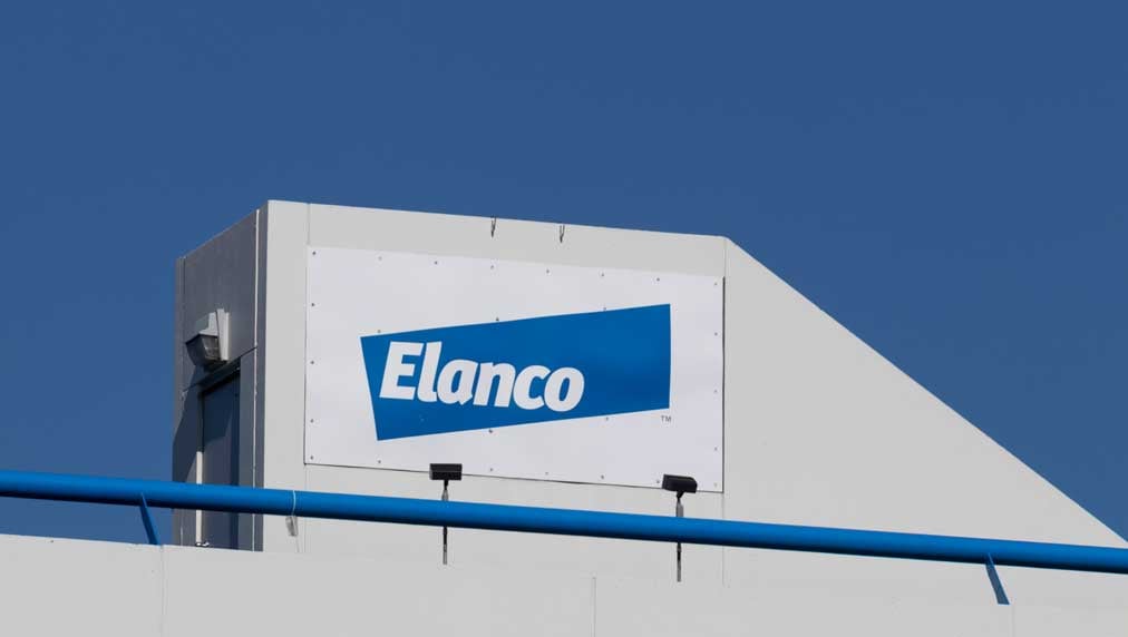 Elanco Stock: How Elanco Animal Health Is Outgrowing Rivals As Protein, Pet Health Roars Back