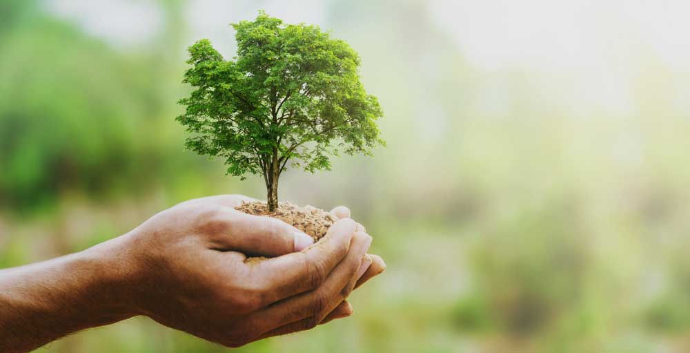 Money Grows On This Tree As Discount Retailers Crush Estimates