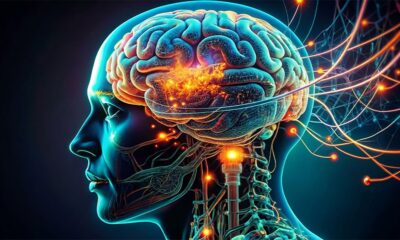 Dow Jones Futures Rise; Micron Jumps On Earnings After Oracle Leads AI Stock Sell-Off