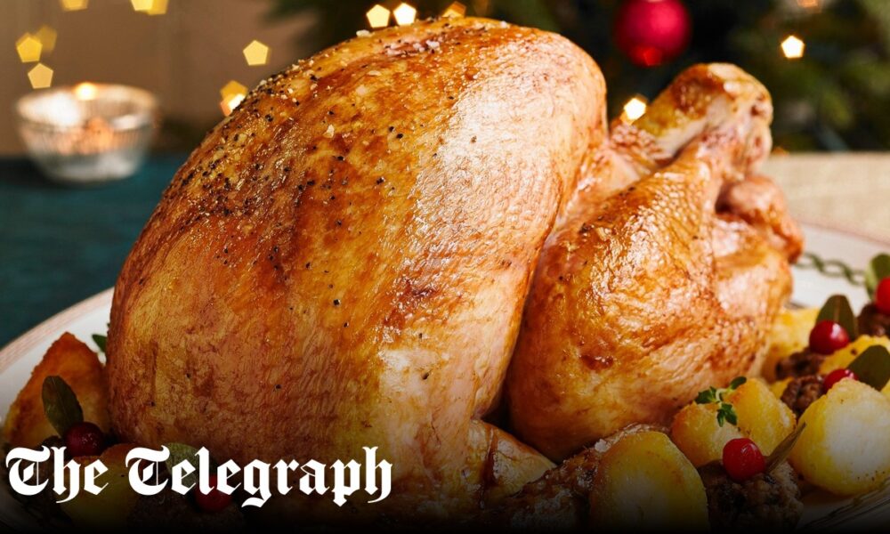 Traditional roast turkey