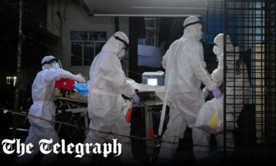 Major milestone in development of Nipah-virus vaccine