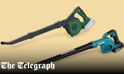 The best leaf blowers for clearing your garden or pathway, tried and tested