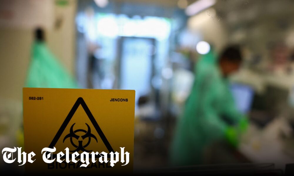 EU launches ‘pre-pandemic’ plan to stop bird flu jumping to humans