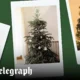 Telegraph readers on the real versus artificial Christmas tree debate