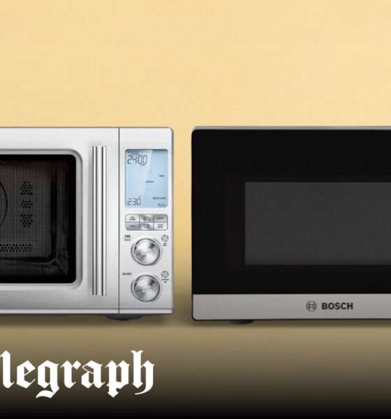 The best microwave ovens of 2024 for home cooking, including multi-function combi models